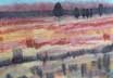 &ldquo;Erdland&rdquo; Klick => Bild+Info